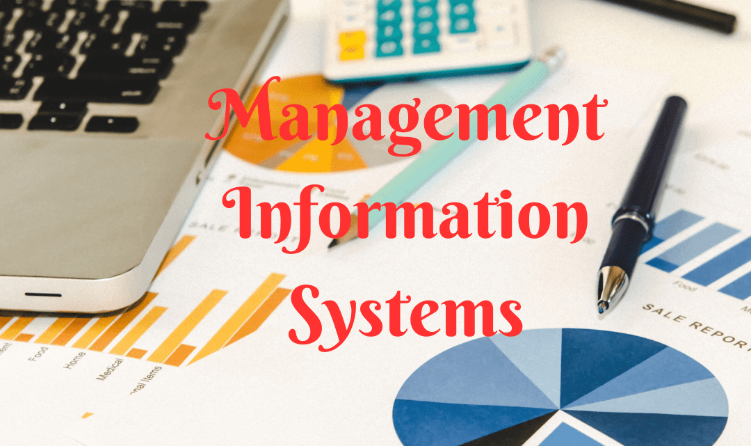 Navigating the Maze of Management Information Systems